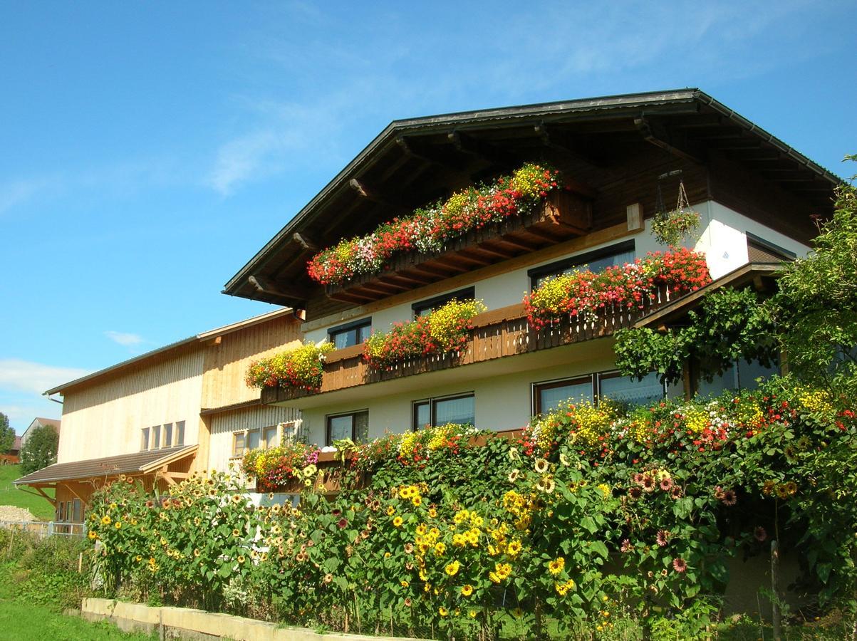 Ferienbauernhof Liebschick Egg Exterior foto